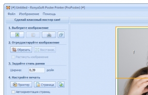 RonyaSoft Poster Printer ProPoster картинка №1